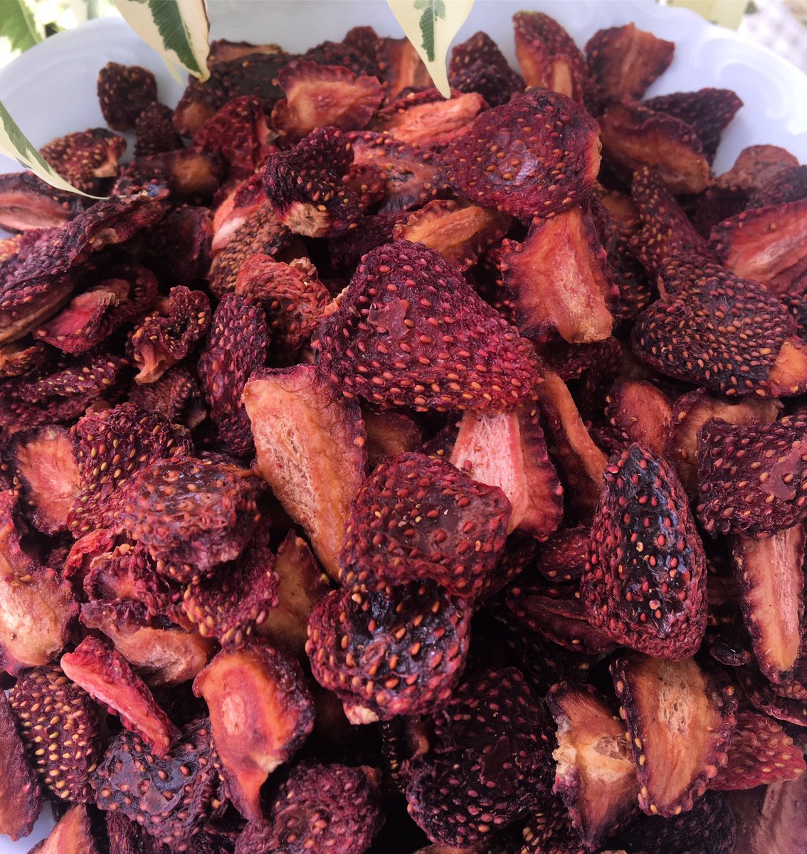 Gün kurutma çileğimiz. Kokusuyla, nefis tadıyla sizi kendinizden geçirir. doğal yöntemlerle kurutuldu. Sağlık açısından da birçok yararı vardır. Hem çayın kahvenin yanında, hem de tatlılarda, kullanabilirsiniz. Çayı da çok güzel olur. Çikolata yanına çok yakışır. #kuruçilek