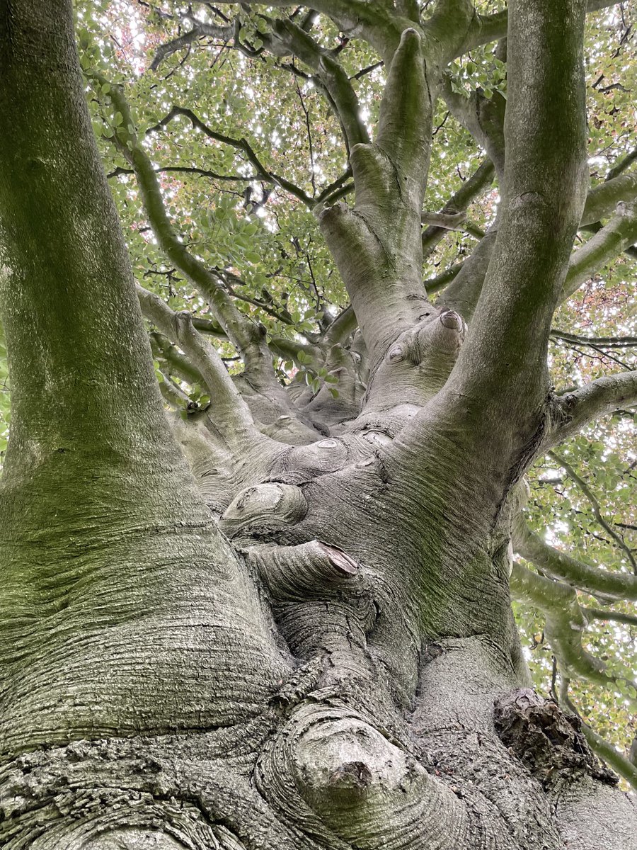 Enjoy the rest of your day 🌲🌿