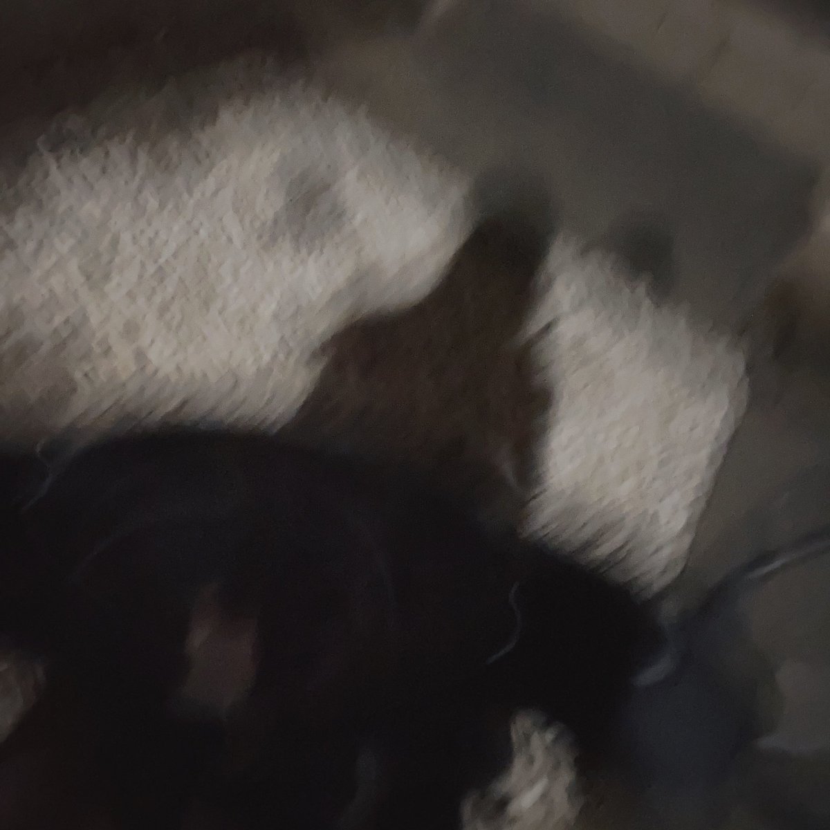 家の中暑すぎて風呂上がり外で涼みながらアイス食ってる