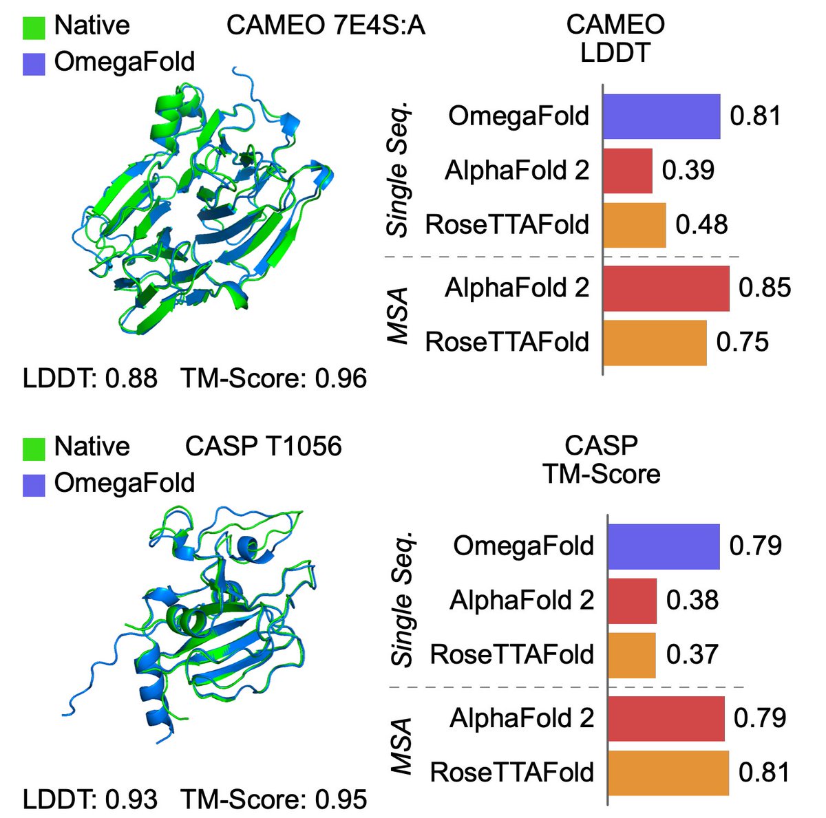 Jian Peng (@_jianpeng) on Twitter photo Protein structure can be predicted from a single sequence alone with high accuracy.
<a href="/HelixonBio/">Helixon Bio</a> team have developed OmegaFold, achieving performance similar to RF and AF2's MSA versions. Only a single sequence is given as input. 1/5 Protein structure can be predicted from a single sequence alone with high accuracy.
<a href="/HelixonBio/">Helixon Bio</a> team have developed OmegaFold, achieving performance similar to RF and AF2's MSA versions. Only a single sequence is given as input. 1/5