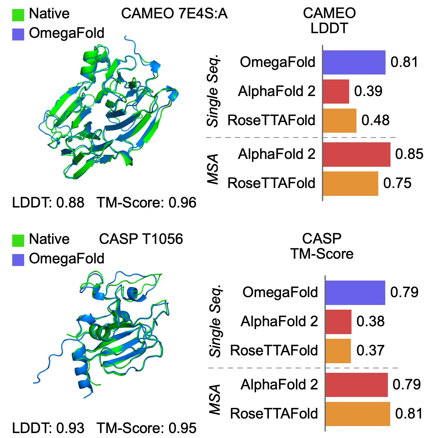 A comparison of LDDT and TM-Scores.