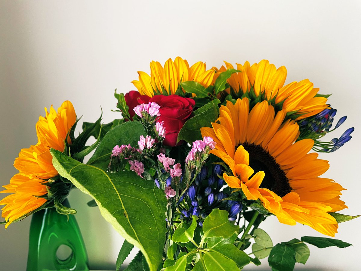 Prof Michael Green FCCT tweet media