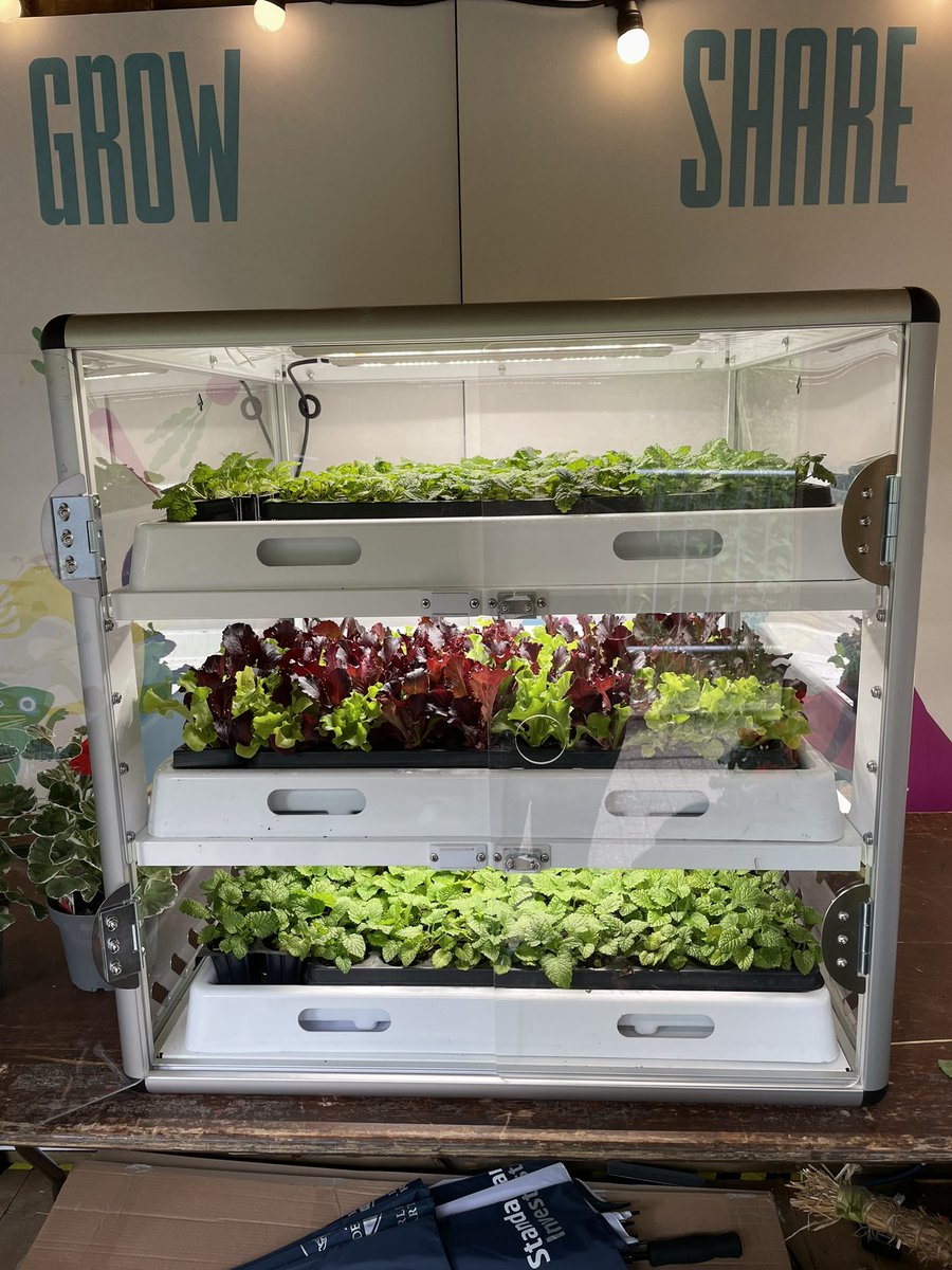 SBCLfS's tweet photo. 🤩👏👍🤩to everyone involved in #DandelionFestivalGlasgow #KelvingrovePark We look forward to schools &amp; communities across  @scotborders getting involved in the coming months @SBCEducation1 
#UNBOXED2022 #AnythingGrows @alchemyfilmarts @unboxed2022 @KSBScotland @DandelionScot https://t.co/ymduXbYEHA