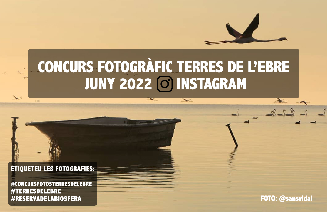 🎉 Ja podeu participar al #ConcursFotosTerresdelEbre del mes de juny! Podreu guanyar vi de la <a href="/doterraalta/">CRDO Terra Alta</a>!

🍷 1 ampolla de rosat Home Peix d'Agrícola Corbera d'Ebre i 1 ampolla de blanc Vinyes del Grau de <a href="/CJosepVicens/">Celler Josep Vicens</a>.

👉 Pengeu a Instagram fotos de les #TerresdelEbre!