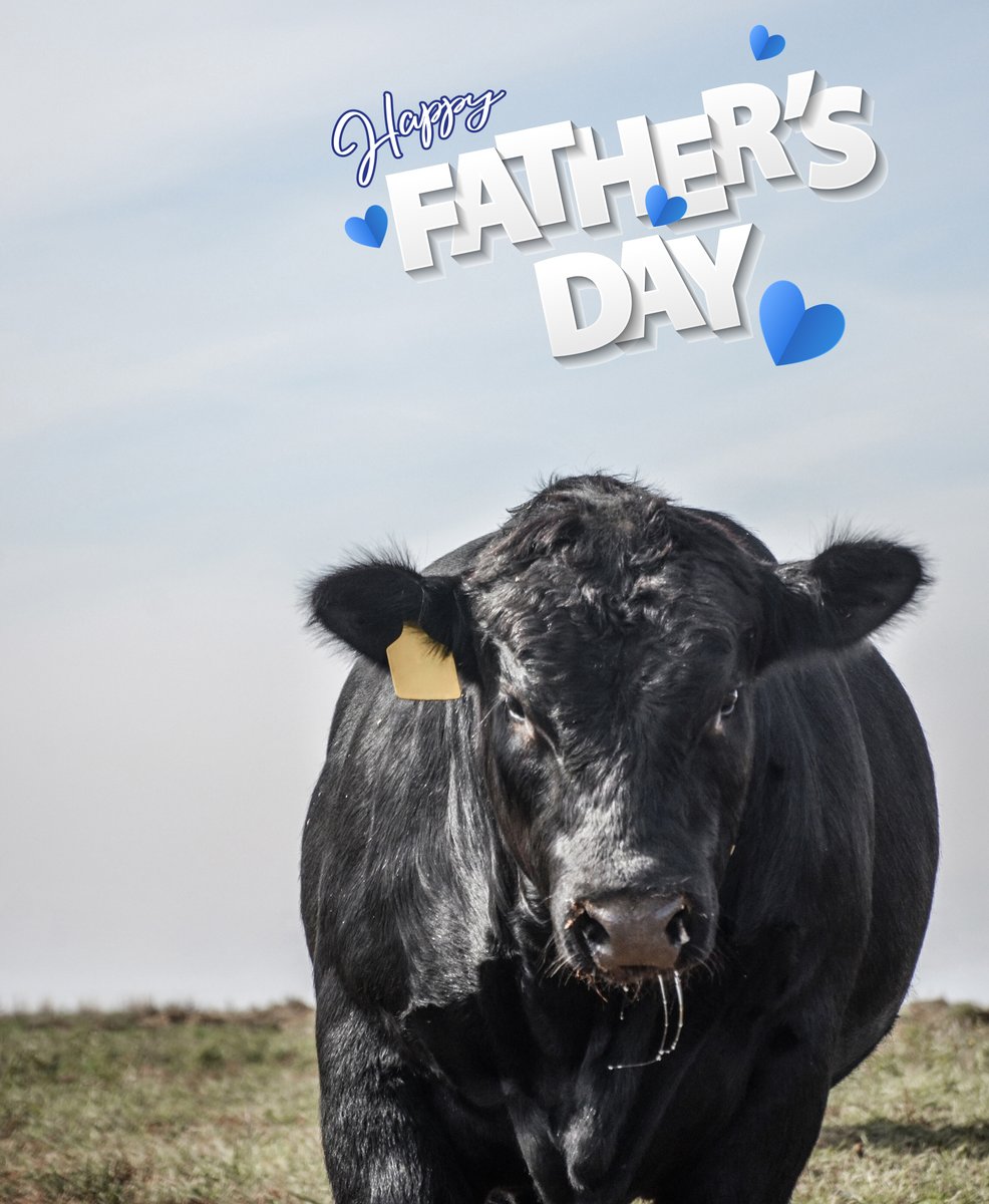 Happy Father's Day to all the awesome dads out there!

The Limousin breed’s advantages in feed conversion comes as a result of superior levels of lean, dressed carcass weight and retail yield. Limousin and Lim-Flex genetics will hit your targets. #limousinproud