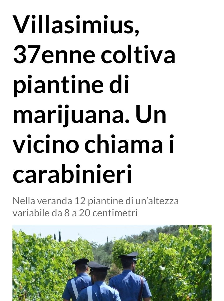 ania_stef_'s tweet photo. Se lo avesse visto prendere a botte la moglie anziché coltivare 12 piantine di marijuana si sarebbe fatto i cazzi suoi 100%. https://t.co/ukdiYi8ElW