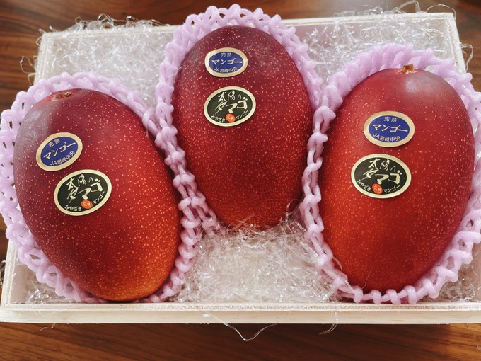 Watch ANRI's leaked NSFW photo on TwXstars