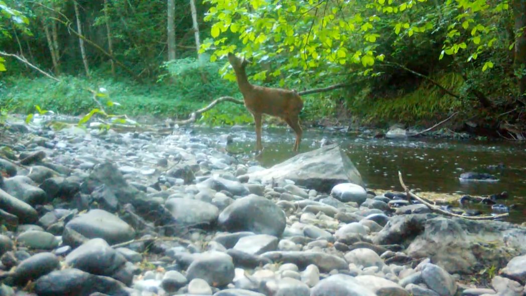 Peer 2 Peer Mindfulness tweet media