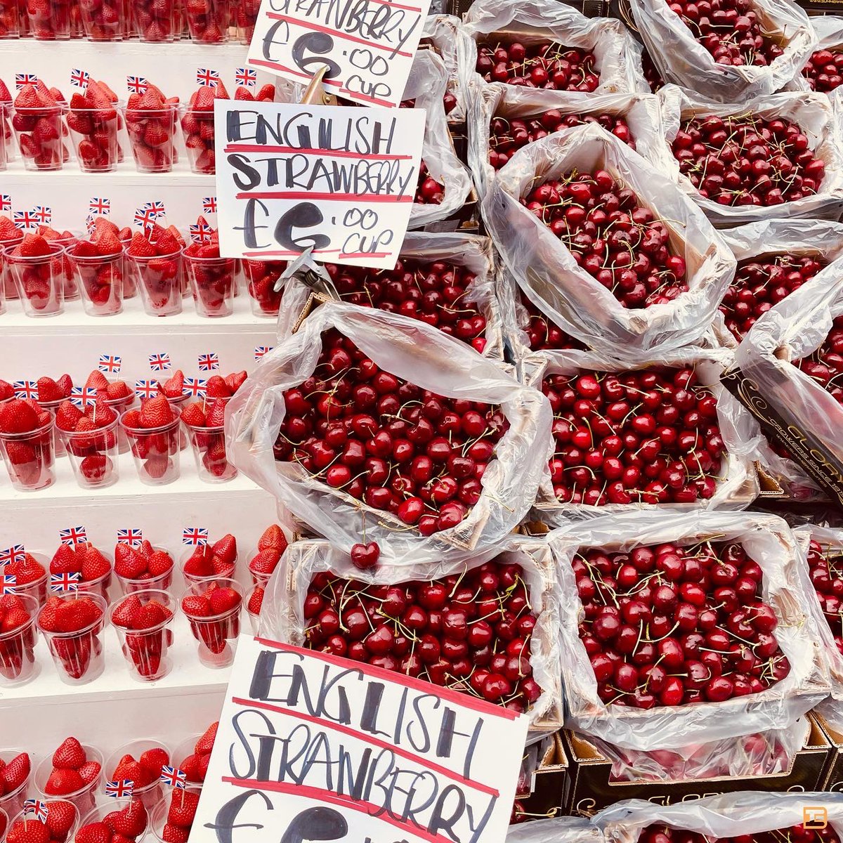 Marylebone Summer Festival is here🎠
I tried Ginger pig’s beef hamburger with fried onion🍔 I must say….my choice is the best🙊 I also picked tiramisu from La Fromagerie❤️

Dog Show is also being held until 17:30 in St Marylebone Parish Church Gardens🐶