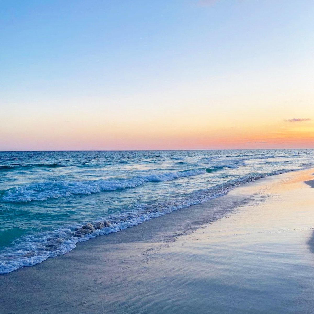 Happy Father’s Day to all you incredible dads out there! ❤️ 📷: @alexhytree