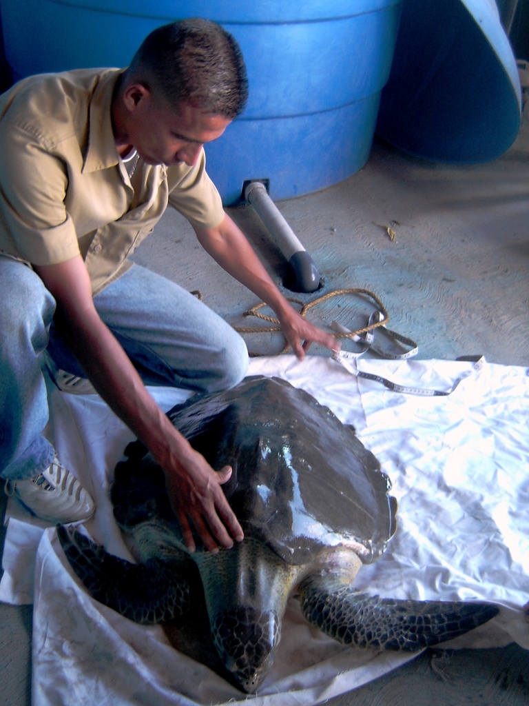 Pedro D. Vernet P. tweet media