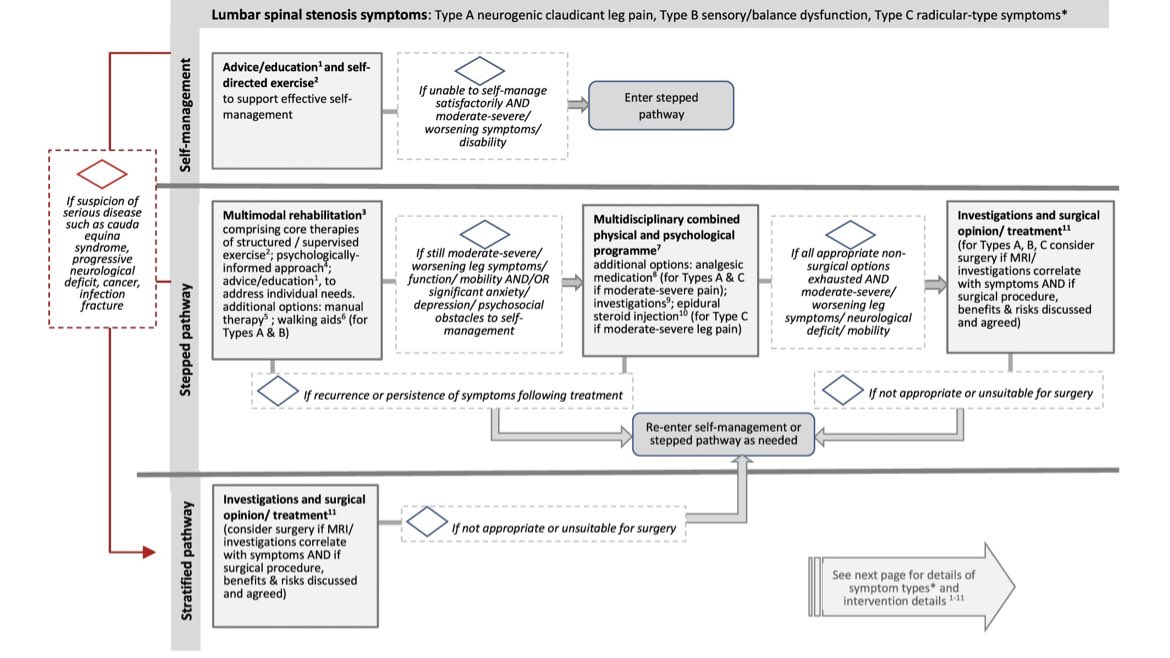 AdamMeakins's tweet photo. This is a very good expert consensus on the management of Lumbar Stenosis using a patient phenotype, phased progressive stepped approach! 

It should help reduce variation in treatment… but only if clinicians read and follow it!  https://t.co/0MdMyZvJBt https://t.co/lmtK1ZdQ13