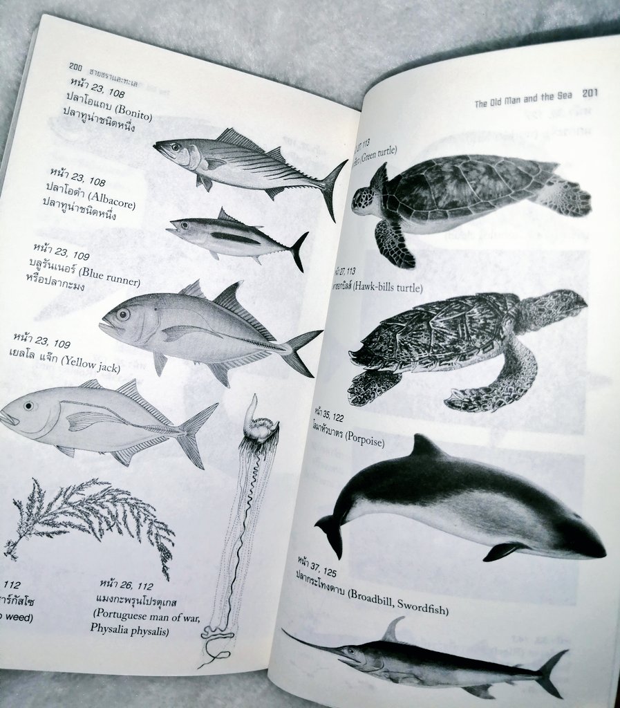 baimainaimue's tweet photo. 120-.
REG​ 20​ EMS​ 30
#ส่งต่อหนังสือ #หนังสือมือสองสภาพดี #ชายชราและทะเล https://t.co/vP0bUZSe3Y