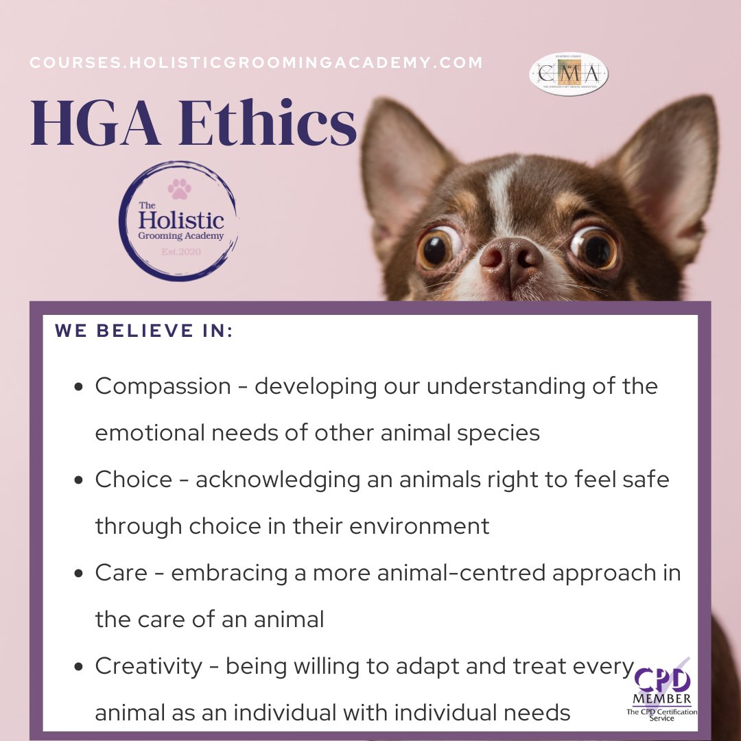stephzikmann's tweet photo. @TheoPaphitis  I help dog parents &amp; professionals learn how to keep their dogs less stressed when being groomed through my very own coined accreditation. I teach over 100 students worldwide. Support at #SBS would allow me to help more animals 🐶 - https://t.co/bA41zVuOFP https://t.co/ln7BVpHCWA