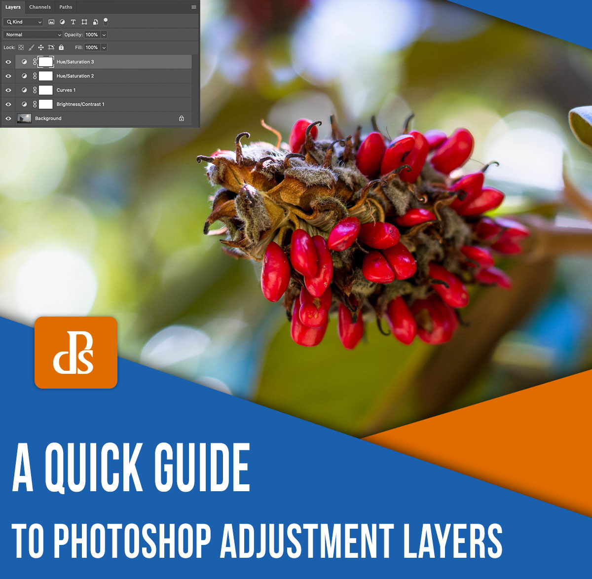 digitalps's tweet photo. Your Quick Guide to Understanding Photoshop Adjustment Layers

👉 https://t.co/gf0dyYYZhl https://t.co/YXMTLriU40