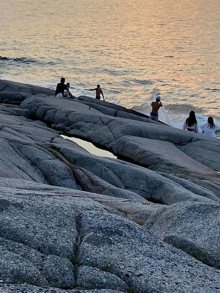 evilpez4's tweet photo. 🎶 Peggy Peggy Peggy
Can’t you see?
Sometimes your black rocks
just hypnotize idiots, see?
They just love your flashy waves
Guess that's why
we shake our heads
almost every day.
#WaveBait https://t.co/kBvTJl1jKW