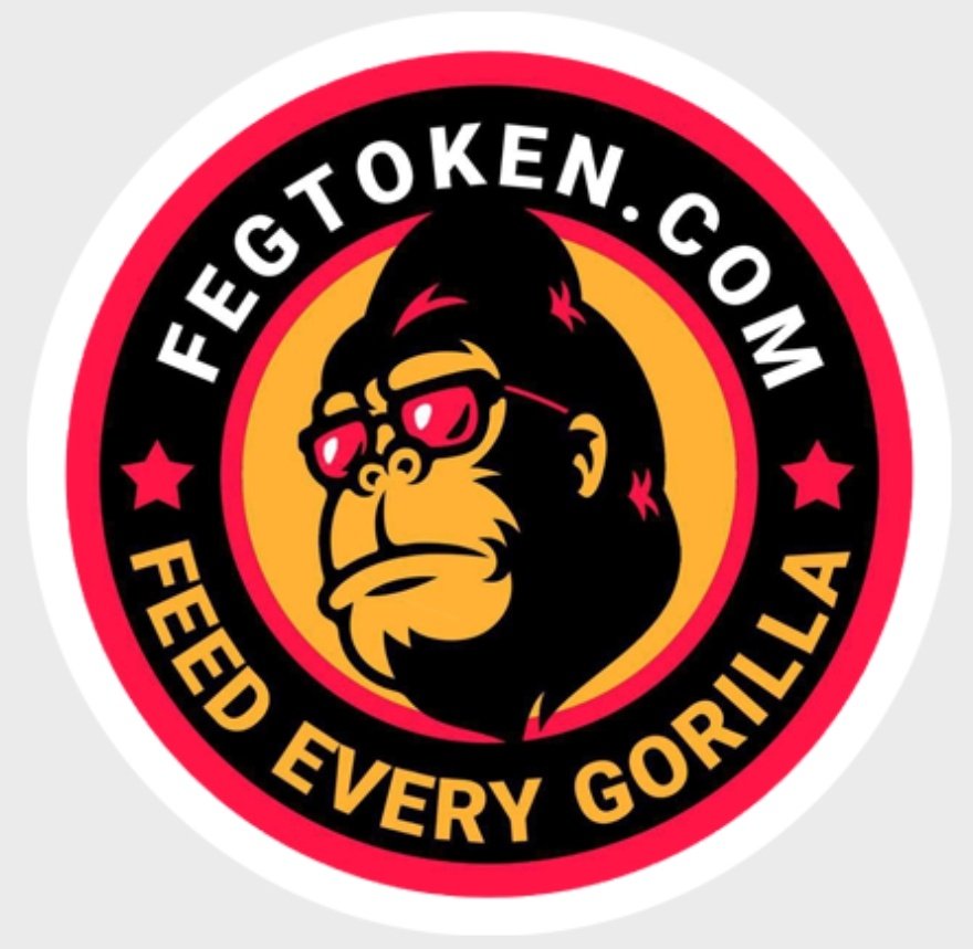 The community and the team are what absolutely assures me that a project such us ours is destined for success.

There will be challenges and obstacles to overcome coupled with periods of self-reflection.

Being humble, transparent and committed to a vision is key.

#FEGArmy