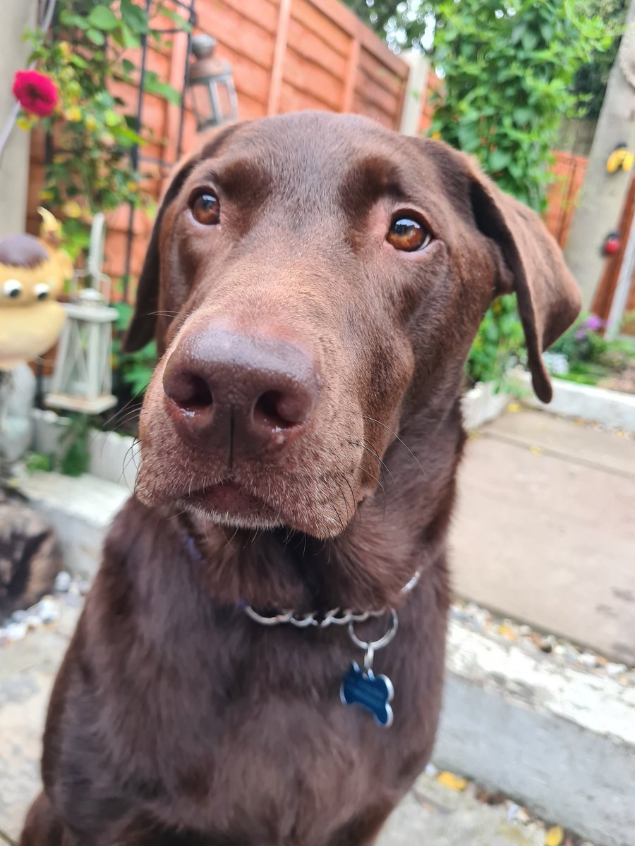 Kez_Ray18's tweet photo. #Lovethatface https://t.co/nk8N3sUhmk