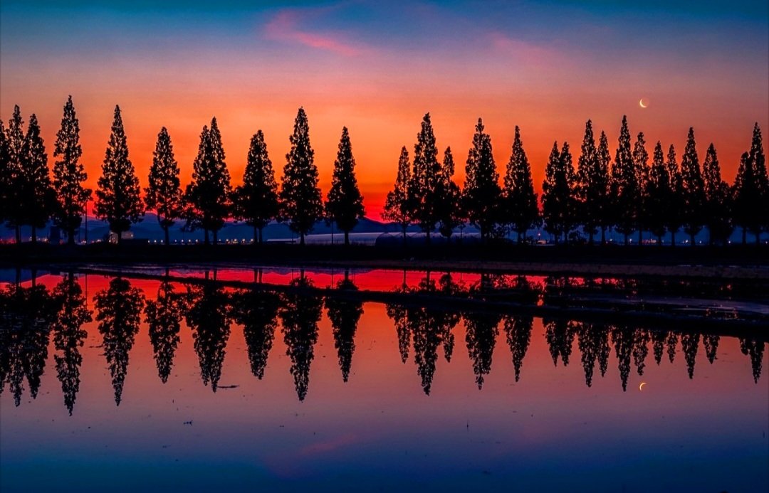 .
.
마음이
젖어들때까지
홀로걷지마라

불쑥 젖은 마음 속으로
사람도 슬픔도 쉽게 들어선다

마음이 젖어들면
눈마저 젖어 너를 아프게할

그 사람도
아름다워 보인다
슬픔도 아름다워 자꾸 탐이난다

탑동마을 출사길
.