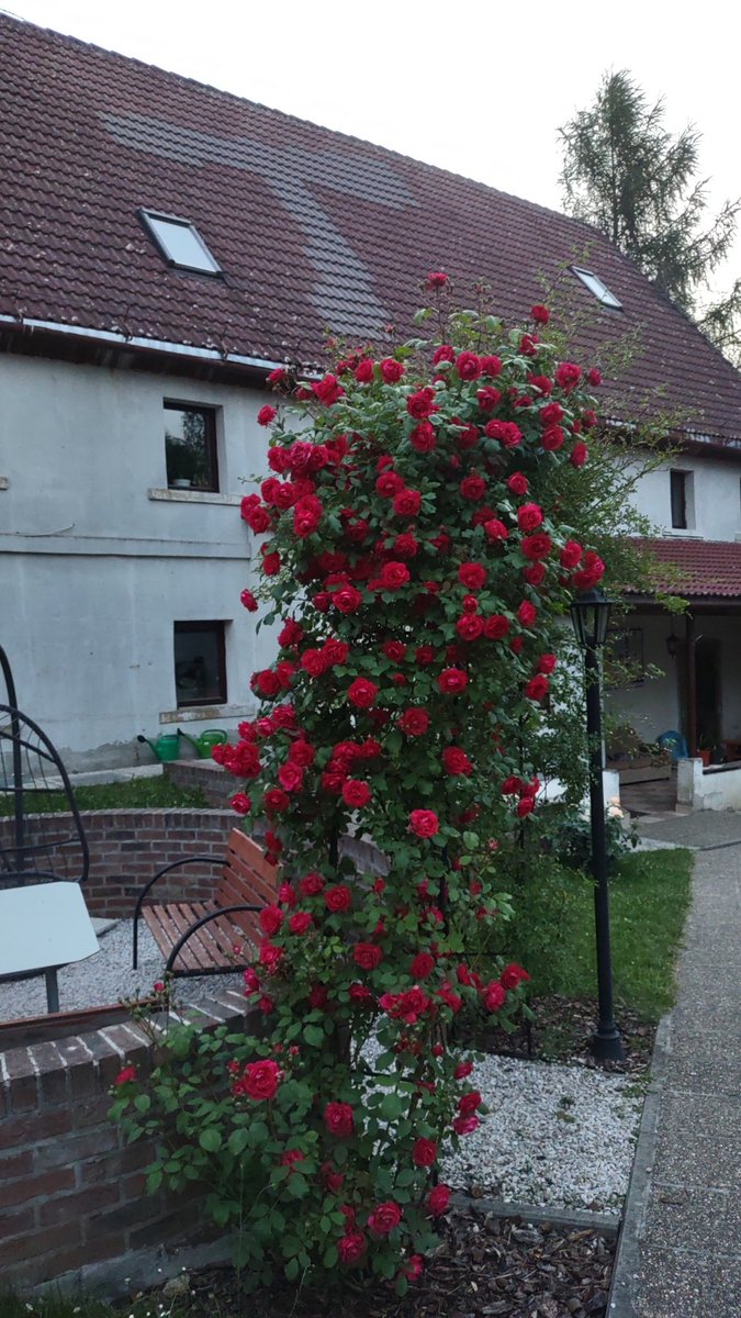 FWF_Janice's tweet photo. Wieczór w Janicach jak zwykle uroczy https://t.co/tklaR32oWJ