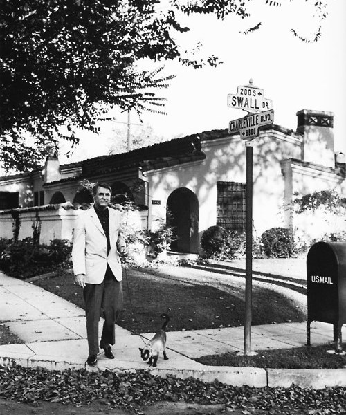 TheTimBurgess's tweet photo. Cary Grant takes his cat out for a walk. #SundayStyles https://t.co/uvas4VcsK8