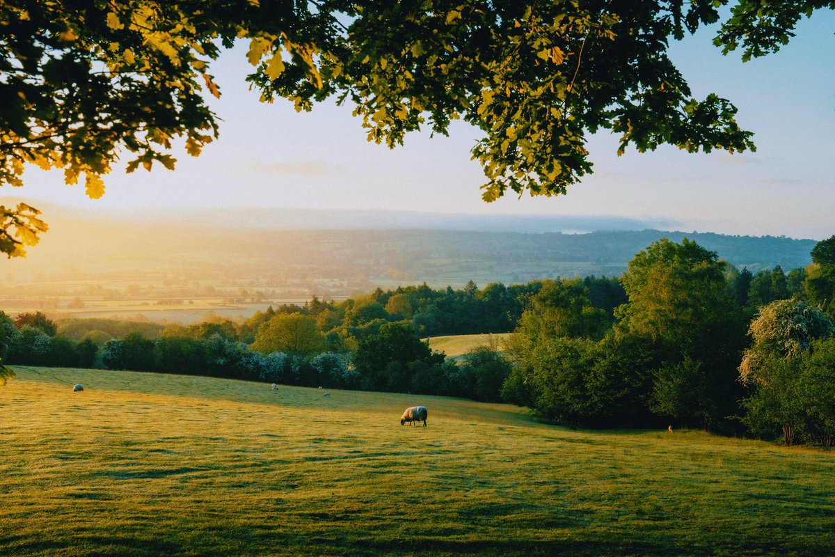 Daniel Casson tweet media