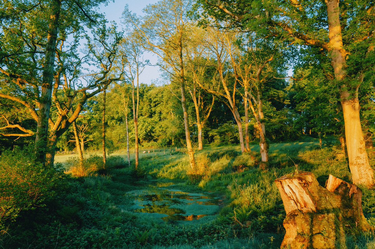 Daniel Casson tweet media