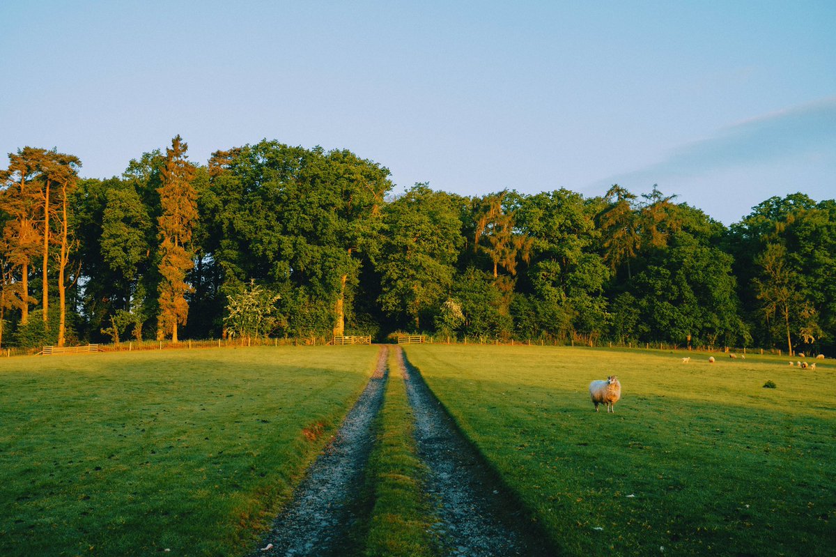 Daniel Casson tweet media