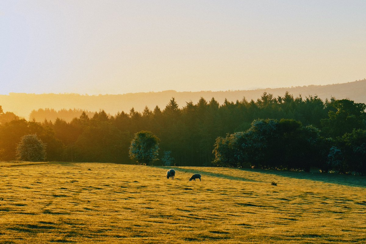 Daniel Casson tweet media