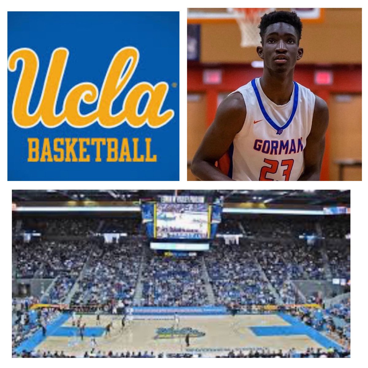 VegasEliteBasketball tweet media