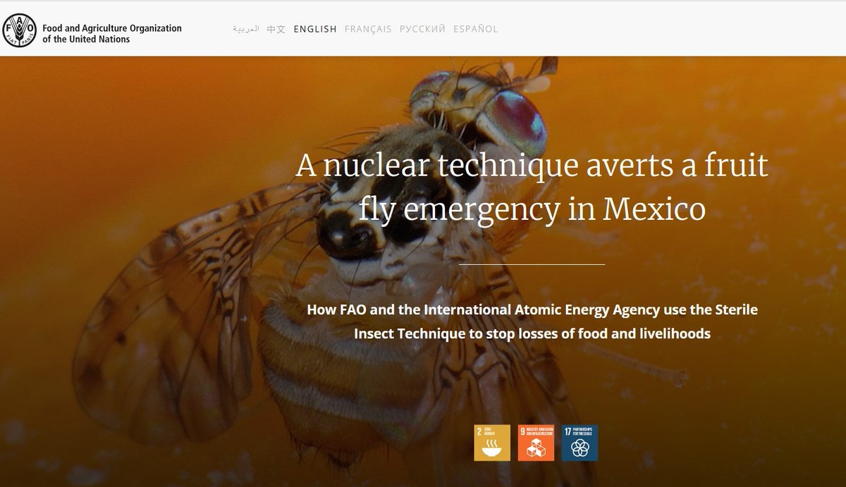 Abdel Bakri tweet media