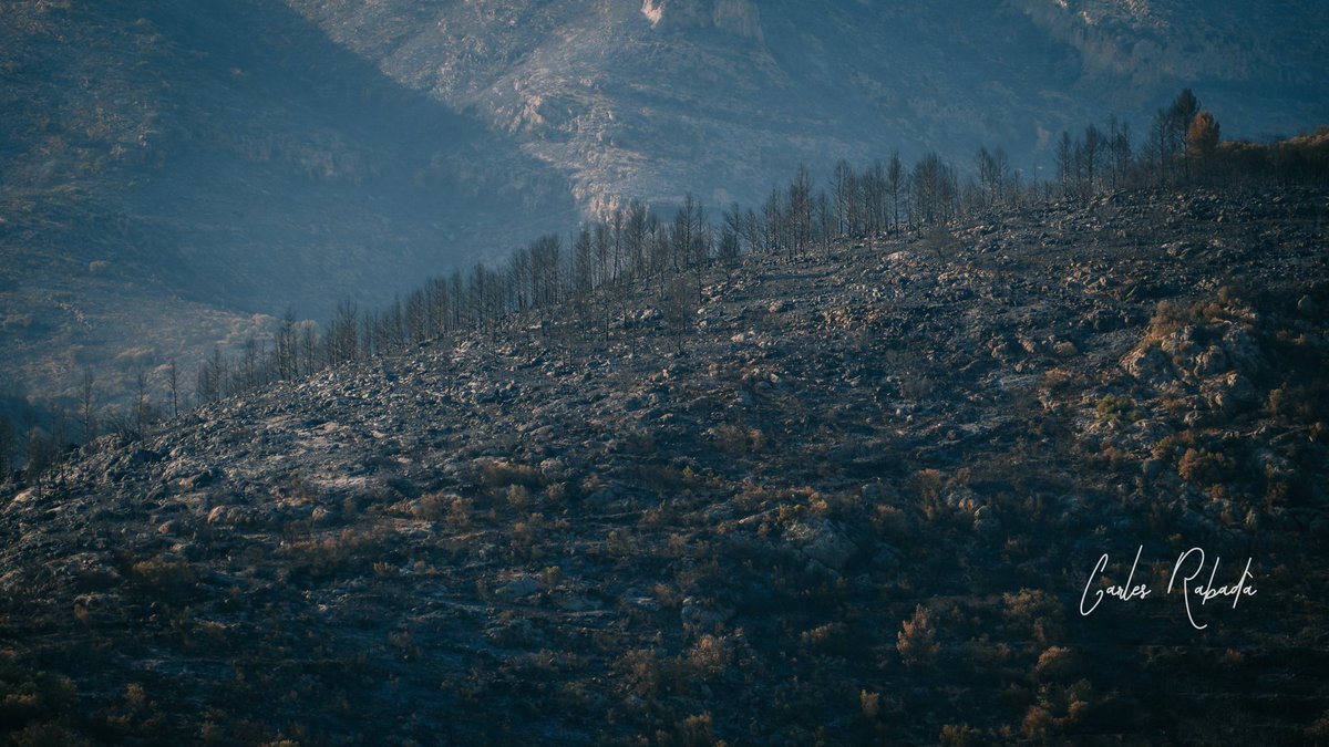 carlesrgm's tweet photo. #IFBaldomar sense columnes de fum. Sembla que s'acaba l'infern que hem viscut a Ponent. Ara hem de treballar plegats per reviure la terra. https://t.co/wzMdsU9eOF