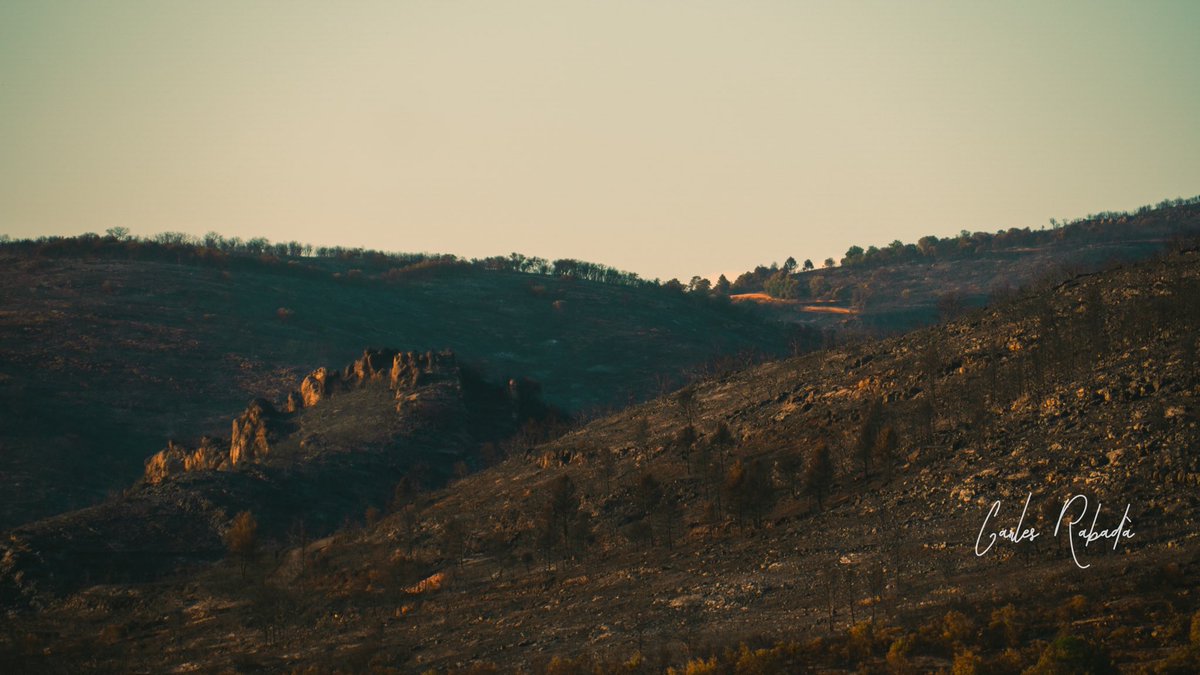 carlesrgm's tweet photo. #IFBaldomar sense columnes de fum. Sembla que s'acaba l'infern que hem viscut a Ponent. Ara hem de treballar plegats per reviure la terra. https://t.co/wzMdsU9eOF