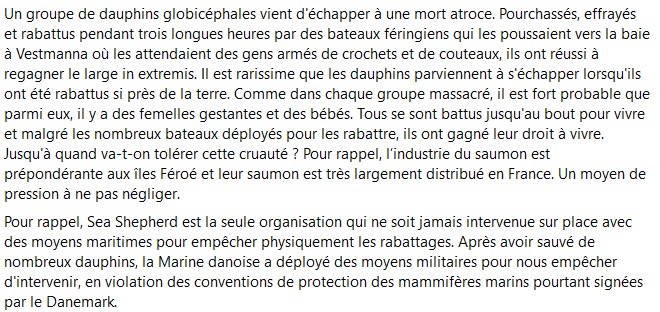SeaShepherdFran's tweet image. Un groupe de dauphins globicéphales vient d'échapper à une mort atroce.

#StoptheGrind #SeaShepherd