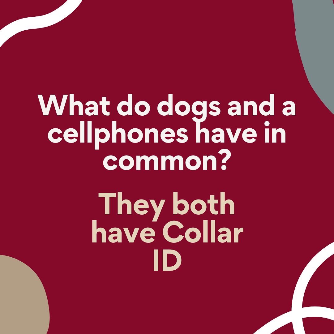 TWUPetTherapy's tweet photo. Happy Fathers day! Yes, that includes you dog dads! From TWU Pet Therapy have a great day!  #TXWomans #PioneerPetTherapy #TWUPetTherapy #PioneerStrong #PioneerProud #PetTherapy #Pawoneers #CampusWithaHeart #Pridemonth https://t.co/gI58haKSKl