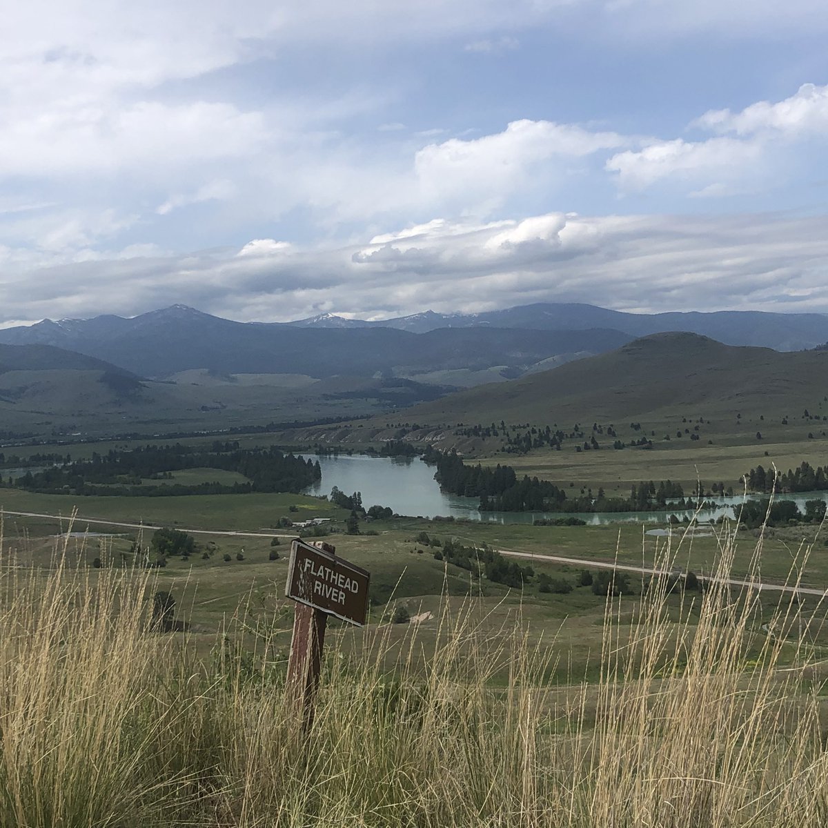 cheyenneclc4's tweet photo. Been a busy couple of weeks! We arrived at CoLang on June 12th &amp; today I was finally able to hike the M! Yesterday we went to the Bison Range 🦬☀️🌿🌾#30x30ActiveChallengeFNHA #BeActiveFNHA https://t.co/nD2QDmWj8i
