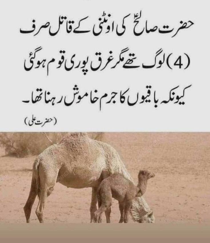 GandapurPAT's tweet photo. یہ ہوتا ہے خاموش رہنے والی قوموں کا انجام https://t.co/ImVTE57bOu