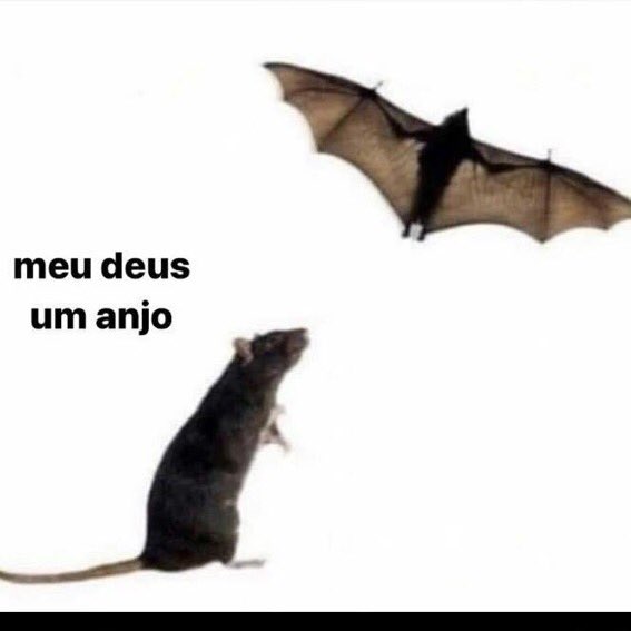 shitpostverdade's tweet photo. https://t.co/UeIu3fVHDM