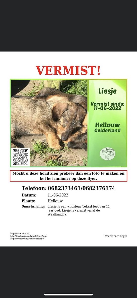 VentjeJoris's tweet photo. #Gezocht #Hond #Liesje https://t.co/J9ZTdQdmAv