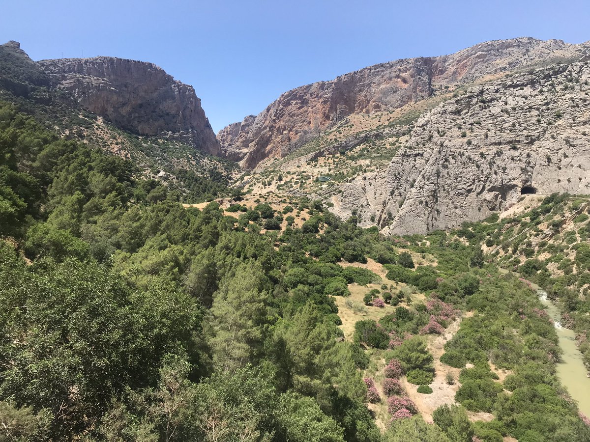 JLRomeraC's tweet photo. #caminitodelrey @CNAlmeriaClub día inolvidable https://t.co/lcH746HTi5