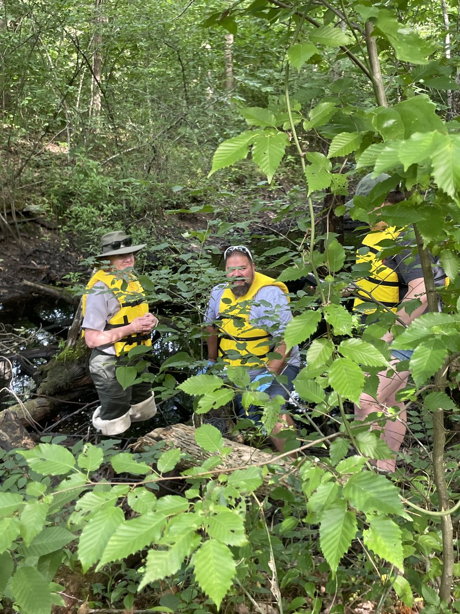 Rodney_Crouse's tweet photo. #AuthenticFaces #NoShame #Refreshed #STEAMinthePark @dacia92 @Flipgrid @NewRiverNPS - biodiversity, water testing, #BESTPD @BethCSellars https://t.co/CiEizrxyXK