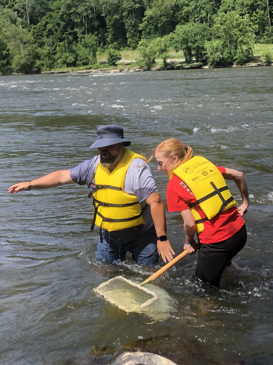 Rodney_Crouse's tweet photo. #AuthenticFaces #NoShame #Refreshed #STEAMinthePark @dacia92 @Flipgrid @NewRiverNPS - biodiversity, water testing, #BESTPD @BethCSellars https://t.co/CiEizrxyXK