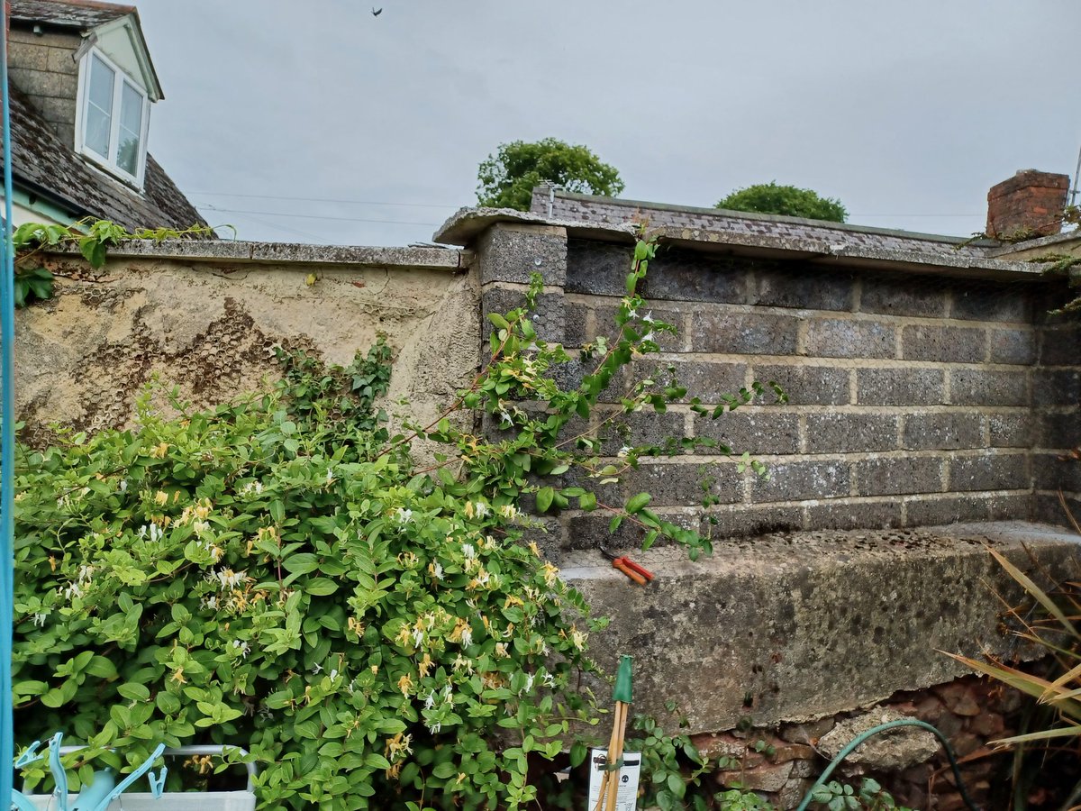 And that's the afternoons work done. I've put some wire mesh up on the block wall, in a bid to train the honeysuckle along and make this part of the garden look, and smell, wonderful!