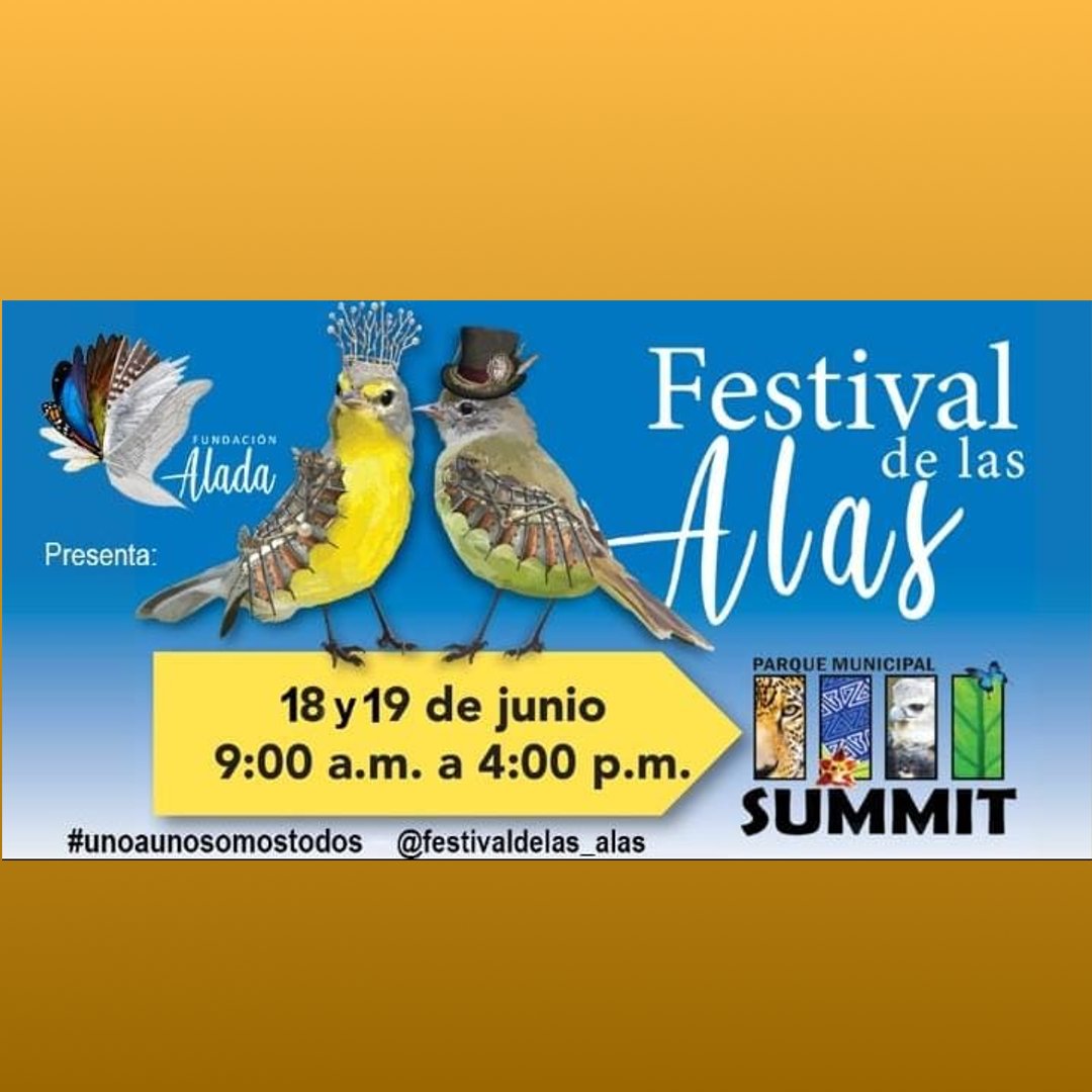 Panama STEM tweet media