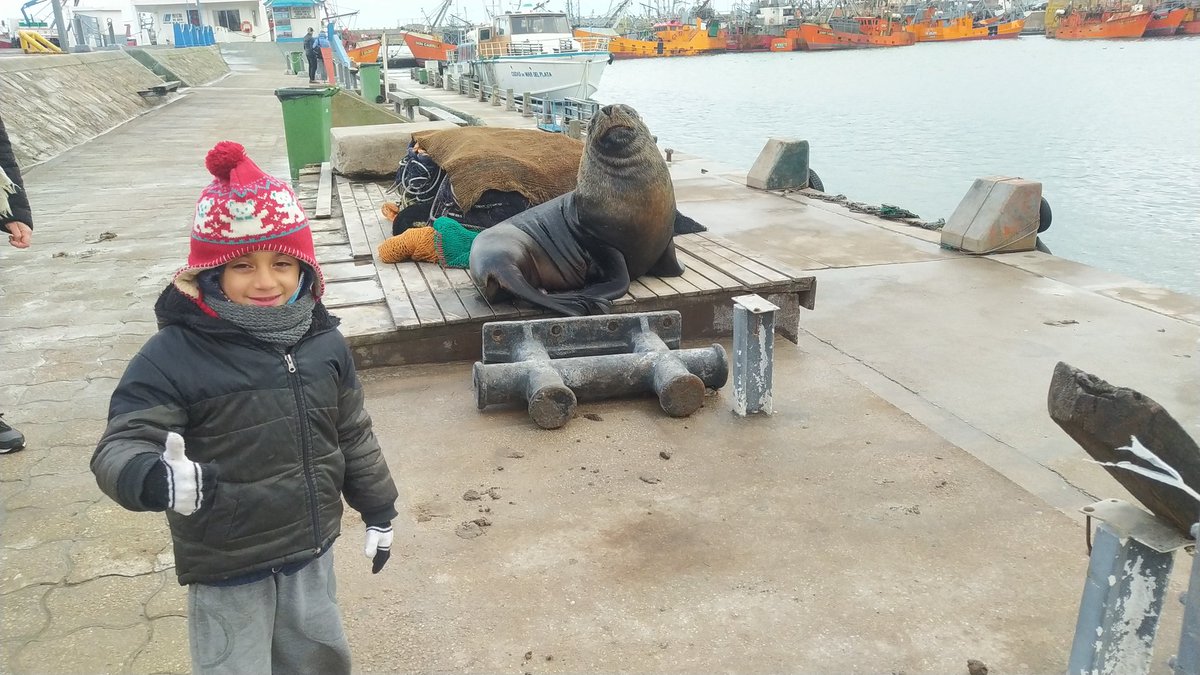 Leincho's tweet photo. Feliz día a mí papá desde Mar del Plata y con los lobos marinos soy thiago#VIVOELDOMINGO https://t.co/c2dcHIG3kq