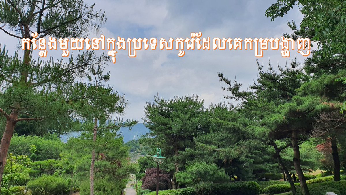 KitchenSophea's tweet photo. កន្លែងមួយនៅក្នុងប្រទេសកូរ៉េដែលគេកម្របង្ហាញ https://t.co/shWX76vLj6 via @YouTube https://t.co/eZQcCYs4EH
