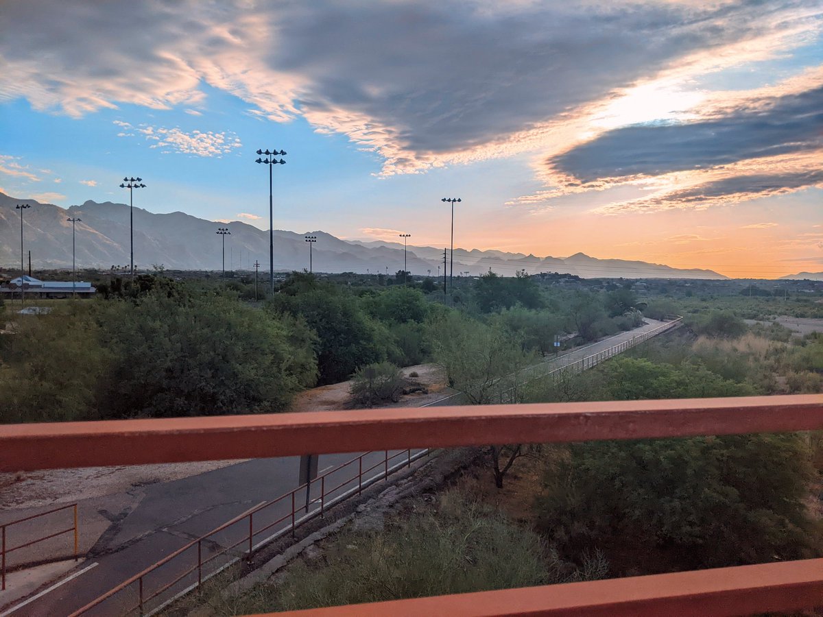 Been busy setting up a base for an above ground pool. Literally moved 2 tons of sand yesterday 💪. Today I went on a lovely post monsoon walk on the Rillito with the puppers. #WHTouchsomegrass