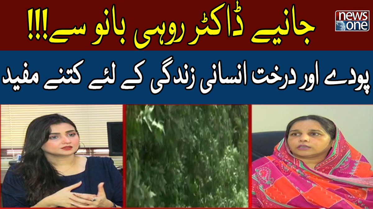 newsonepk's tweet photo. Darakht Aur Poday Insani Zindagi Ke Liye Kitny Mufeed? | Such Ka Safar |... https://t.co/eiBryyTyHC
#NewsOne #SuchKaSafar #SanaFaisal #PMShahbazSharif #Planst #Trees #Environment #karachiCity #Policy #Conocarpus https://t.co/0G0t8USxfN