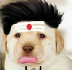 theprabhakarsharma tweet media