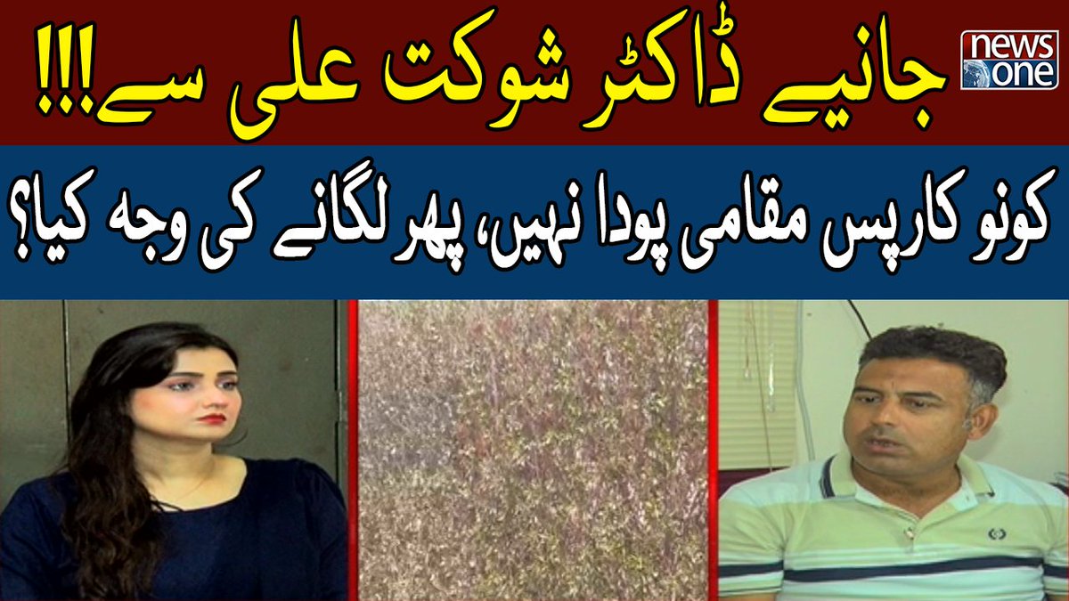 newsonepk's tweet photo. Conocarpus Maqami Poda Nahi, Phir Lagany Ki Wajah? | Such Ka Safar | San... https://t.co/JL3eiKYByC #NewsOne #SuchKaSafar #SanaFaisal #PMShahbazSharif #Planst #Trees #Environment #karachiCity #Policy #Conocarpus https://t.co/Gb61Otee7J